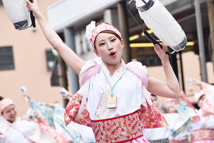 よさこい衣装・祭り衣装　　いちぜん様 