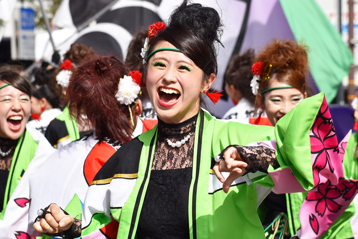 よさこい衣装・祭り衣装　　一喜一遊様 