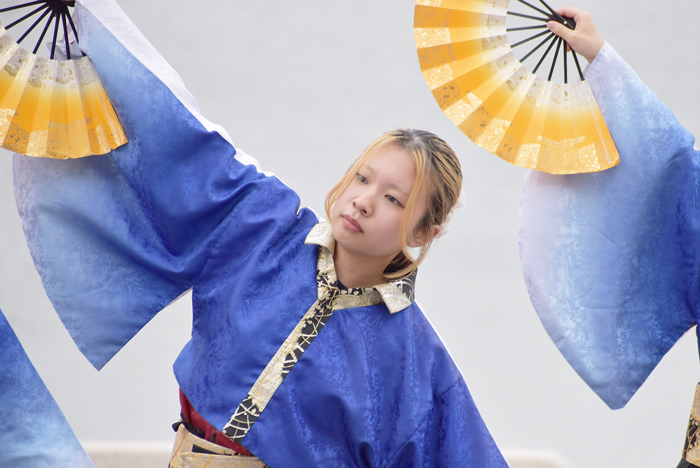 よさこい衣装・祭り衣装　　下関市立大学よさこいダンスサークル震様 