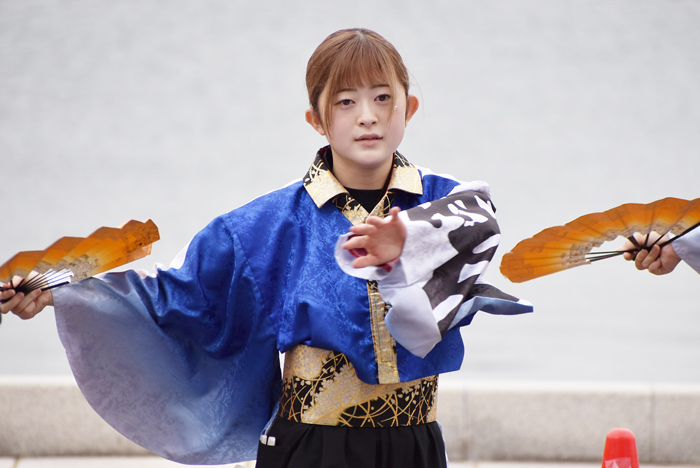 よさこい衣装・祭り衣装　　下関市立大学よさこいダンスサークル震様 