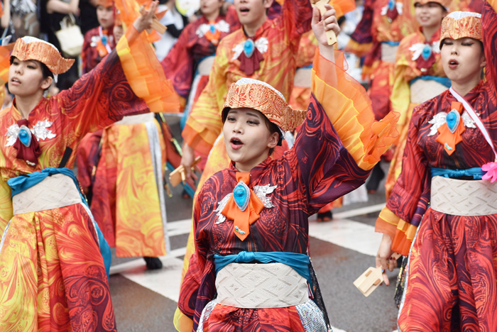 よさこい衣装・祭り衣装　　TACYON様 