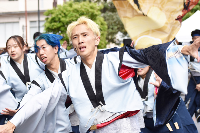 よさこい衣装・祭り衣装　　北九州市立大学よさこいサークル灯炎様 