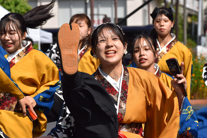 よさこい衣装・祭り衣装　　島根県立大学 よさこい橙蘭様 
