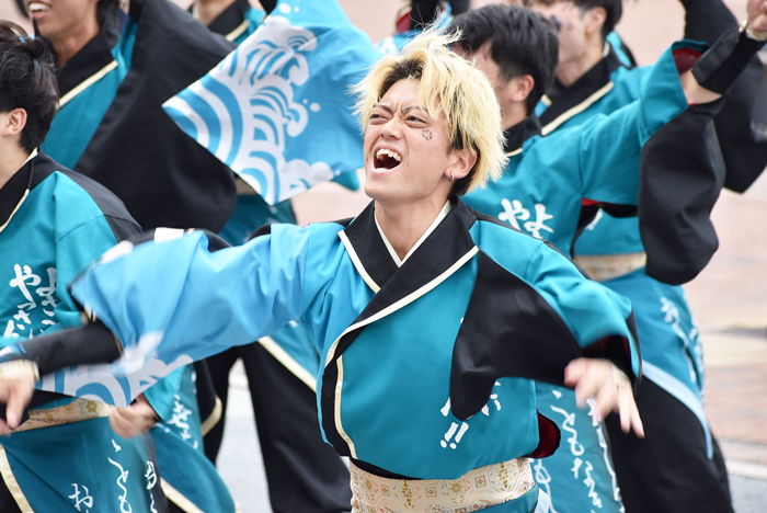 よさこい衣装・祭り衣装　　山口大学よさこいやっさん！！様 