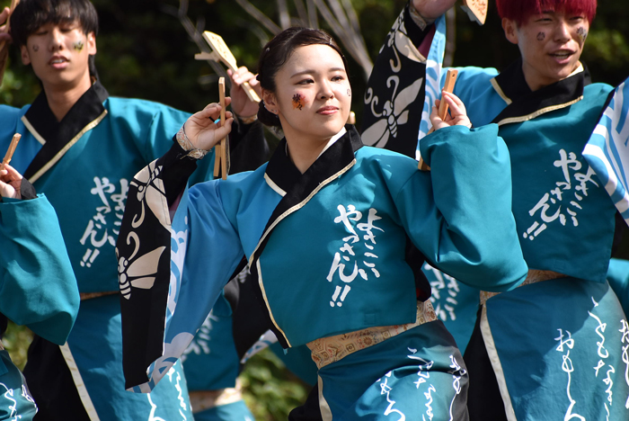 よさこい衣装・祭り衣装　　山口大学よさこいやっさん！！様 