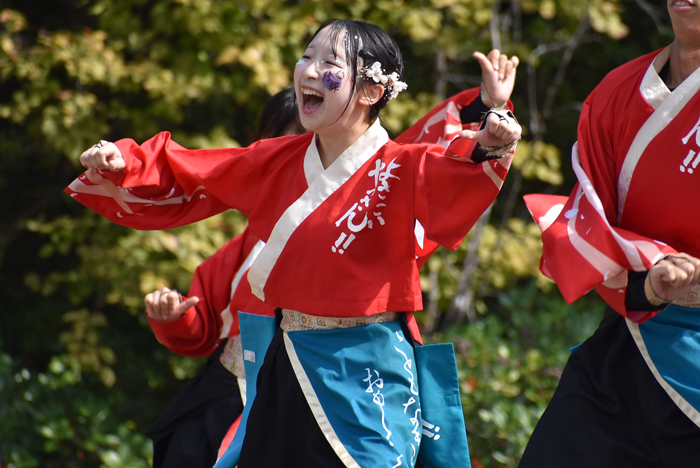 よさこい衣装・祭り衣装　　山口大学よさこいやっさん！！様 